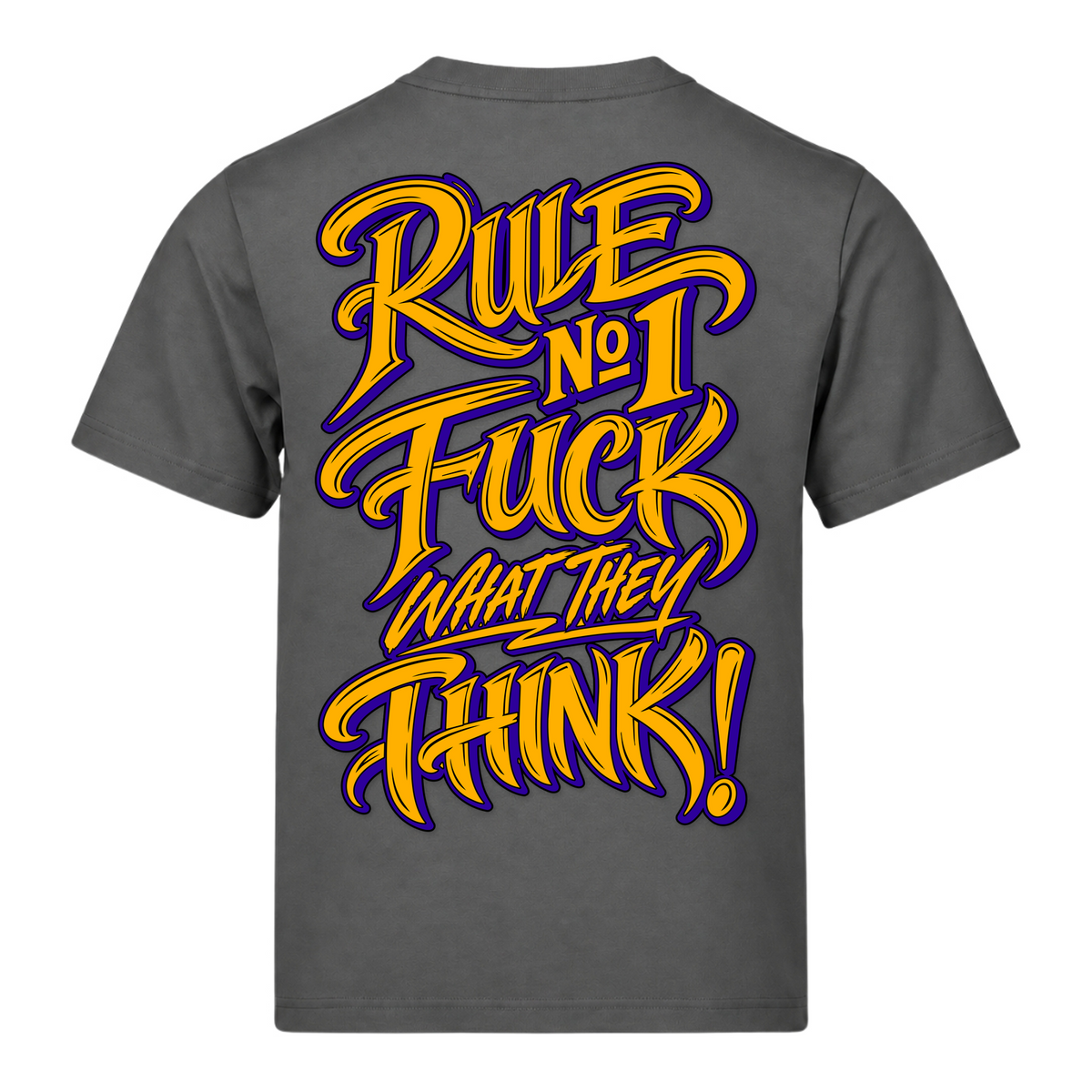 Rule NO1 FWTT 220g Loose Fit T-Shirt - Powder Grey - Rueckseite